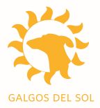 Galgos del Sol